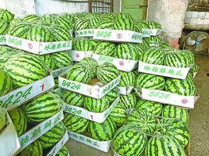 武高吃瓜,揭秘校园吃瓜背后的故事