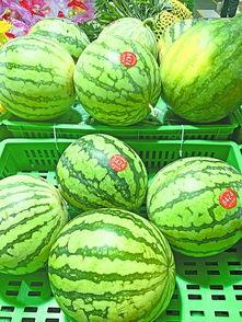 武高吃瓜,揭秘校园吃瓜背后的故事