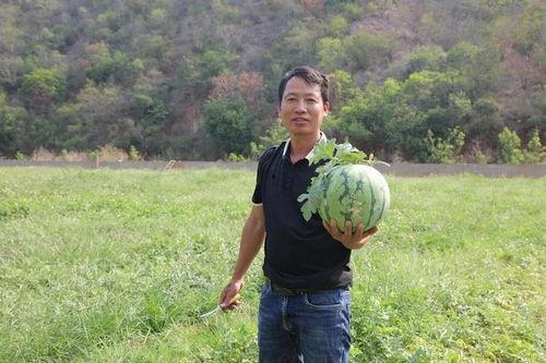 徐云吃瓜,揭秘娱乐圈幕后真相