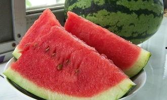 趣味吃瓜赛作文,一场舌尖上的欢乐盛宴