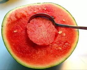 晚上吃乳瓜,探寻夜晚美食的独特魅力