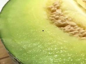 佛山欣子吃瓜,揭秘吃瓜群众的快乐生活