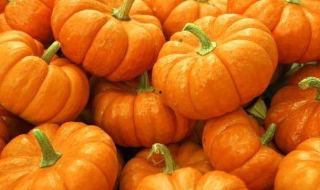 梦吃瓜仔,揭秘梦境中的美食诱惑