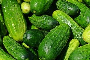 梦吃瓜仔,揭秘梦境中的美食诱惑