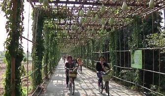 安新长廊吃瓜事件,一场网络热议背后的真相与反思