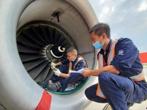 飞机怎么吃瓜,揭秘飞机上的特色瓜果美食之旅