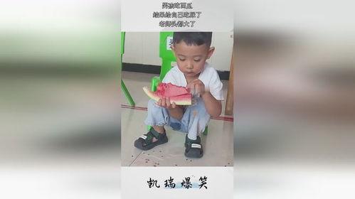 大头男性吃瓜,揭秘吃瓜背后的趣味与智慧