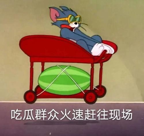 吃瓜脚踏几条船