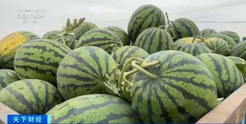 文水最新吃瓜,揭秘当地热门事件背后的真相