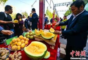 趣乐园吃瓜,揭秘幕后故事，带你领略欢乐背后的酸甜苦辣