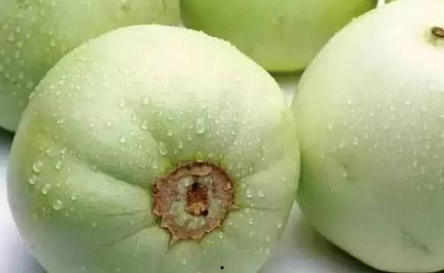 阳春白雪吃瓜真香,揭秘网络热词背后的文化现象