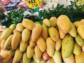 厦门壁垒吃瓜,揭秘背后的吃瓜故事与城市变迁