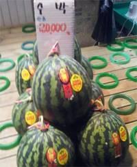 长沙民政吃瓜跳舞,吃瓜群众围观校园新风尚