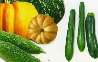 吃瓜老刘,揭秘娱乐圈那些不为人知的幕后故事