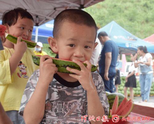 上朝吃瓜动画,上朝吃瓜，揭秘古代宫廷生活百态