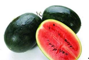 鹿羽吃瓜怎么下载,轻松下载教程揭秘