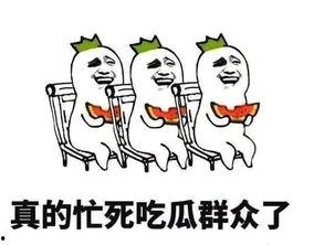 工作疲惫吃瓜快乐,轻松切换心情的秘诀