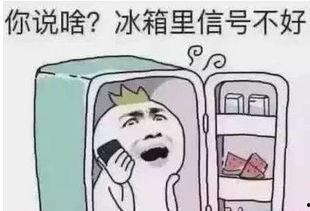 带你吃瓜的人工智障,带你领略“带你吃瓜的人工智障”的趣味与智慧