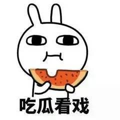 带你吃瓜的人工智障,带你领略“带你吃瓜的人工智障”的趣味与智慧