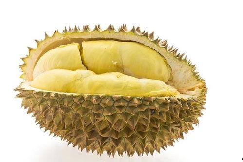 砀山吃榴莲的瓜,一场味蕾与热带风情的邂逅