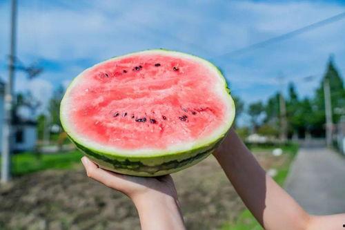 有新瓜吃吗,新瓜频出，精彩不断