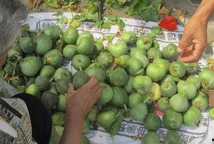 逛大集吃瓜,一场味蕾与市井的邂逅