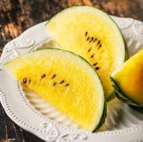 快穿之前排吃瓜