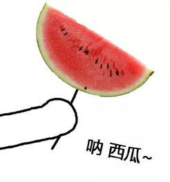 快穿之前排吃瓜