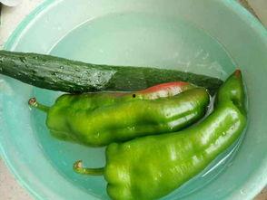 经常吃新鲜鸡瓜好不好