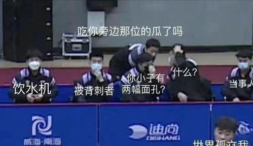 国乒围观吃瓜,揭秘赛场背后的趣味瞬间