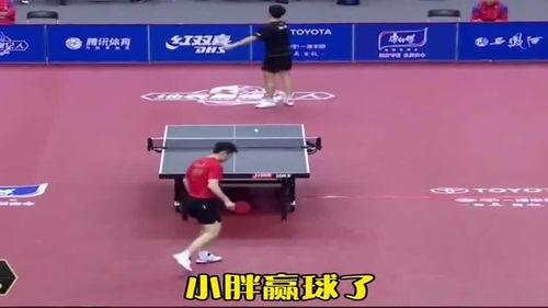 国乒围观吃瓜,揭秘赛场背后的趣味瞬间