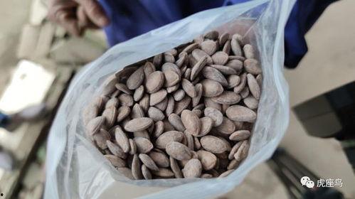 摆摊吃瓜赚钱吗,揭秘街头小吃的盈利之道