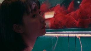 视频吃瓜女孩,网络红人的崛起与影响力