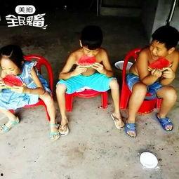 吃瓜视频拔河大赛,趣味大赛欢乐上演