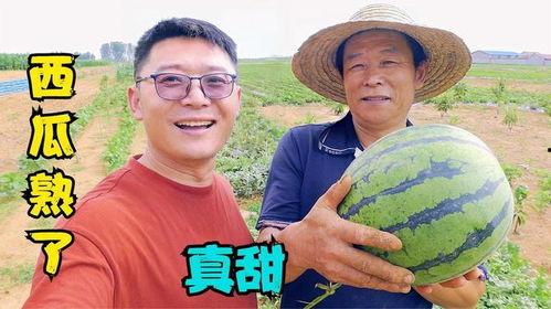 老家吃瓜群众,揭秘乡村生活百态