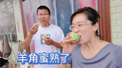 老家吃瓜群众,揭秘乡村生活百态