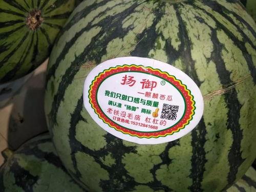 直播吃瓜主题是什么,揭秘网络直播中的娱乐盛宴与幕后故事