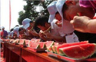 甘肃瓜州吃瓜比赛视频,一场激情四溢的吃瓜盛宴