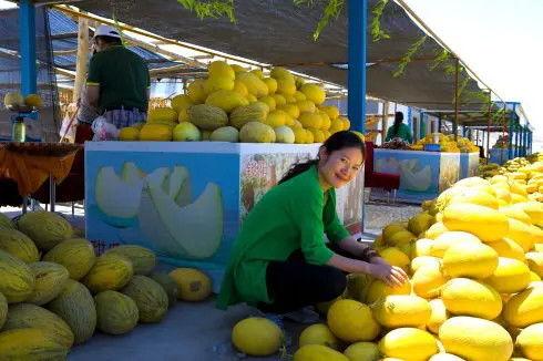 甘肃瓜州吃瓜比赛视频,一场激情四溢的吃瓜盛宴