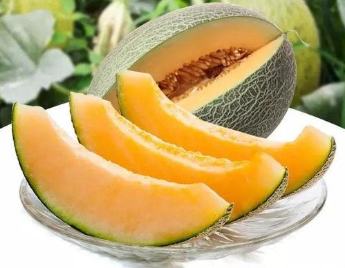 甘肃瓜州吃瓜比赛视频,一场激情四溢的吃瓜盛宴