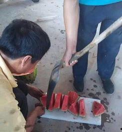 铁锹吃瓜神器,夏日消暑新潮流