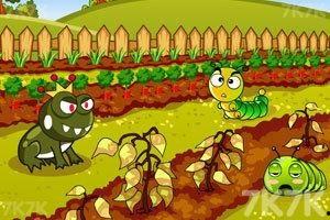 吃瓜蛙王子,揭秘宫廷中的神秘美食传奇