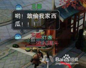 吃瓜到武林,一场奇妙的蜕变之旅