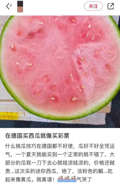吃瓜惊呆图片大全,图集大揭秘  第2张