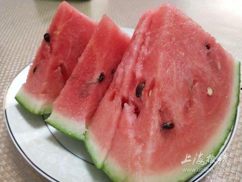 上海人吃瓜全国第一去  第2张