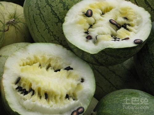 产妇怎么吃籽瓜,营养滋补，助力产妇恢复健康  第3张