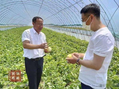 柳条吃瓜,夏日田园风情画卷  第3张
