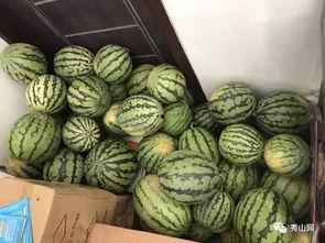 胶州吃瓜群,揭秘网络社交背后的趣味与争议  第2张