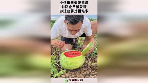 防止动物吃瓜措施,有效防止动物吃瓜的实用措施  第1张