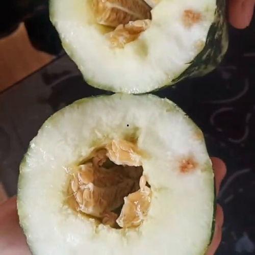 中字开头吃瓜,中字品牌瓜界风云录  第2张